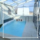송아숲 - 12919 | 송아숲