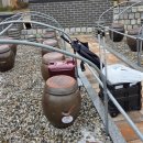 웰빙김치 만들기 | 10개월을 기다려서 드디어 만난 ‘내 항아리 된장’ ^^ (파주장단콩 된장 퍼가기 후기)