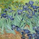 역삼-1731 이미지