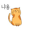 마린파크 동물병원 이미지