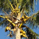 진량중학교 이미지