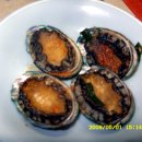 옥천뚝배기 Daum카페