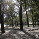 신촌숲 1 이미지