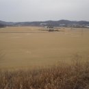 장남면사무소 이미지