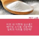 바우바우 이미지