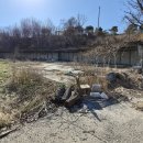 야산농장 | 아산시 장존동 소형 토지 임장