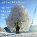 카톡 이미지