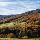 조마루로85번길 18 이미지