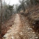 달마고도 이미지