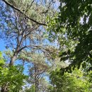 솔과황토 이미지