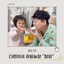 다원농장 | 제철과일 직접 수확하고 판매하는 다원이네 과일농장 참외 구매후기