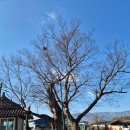 방광회관 이미지