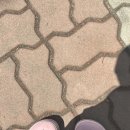 우가네사또왕족발 이미지