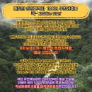 천연효소의 여왕,면역력 보충 귀한 생로얄제리,천연벌꿀 행복특가로드려요. 이미지