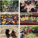 부산 산림교육센터 이미지