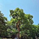 국우경로당 이미지