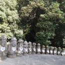 평지경로식당 이미지