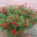 경대에스비뇨의학과의원 | 대구 중구 의료관광 &amp; 미용 시술 병원 10선