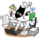 신(Shin)세탁 이미지