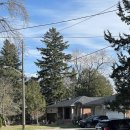 정우치안센터 | [캐나다/토론토]워홀 D+12~14 두 번째 주말/다운타운 규비/코스트코/배스앤바디웍스