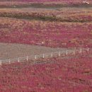 갯지렁이 전시관 이미지