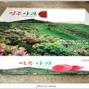 내 돈 내산 영주 용수산 농원 이슬먹음 흠사과 구입 후기