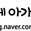 그로브(grove)캠핑 이미지