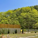 사시장청 이미지