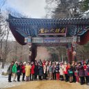 하이얀목장 이미지