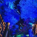 오로라핑크 티스토리