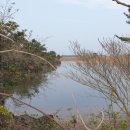 하도리별장 이미지