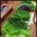 쌈사랑 쌈밥 이미지