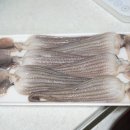 힘찬씨푸드 이미지