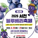 합천블루베리