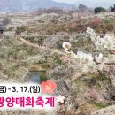 매화1길 이미지