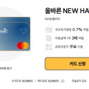 세븐일레븐 영종피싱웨이브점 | NH농협카드 올바른 NEW HAVE(뉴해브) 신용카드 혜택 정리