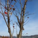 상진시장 이미지