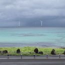 알마레월정 이미지