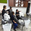 착한애견미용 이미지