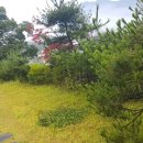 경기도 양평군 대아초등학교 이미지