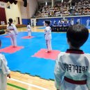 보령태권도체육관 이미지