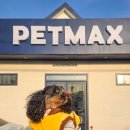 빅펫하우스(상무점) | 강아지유모차 보러 펫막스 방문! 피카고 애자일2 vs 토글 비교 시승 후기 (개모차 추천)