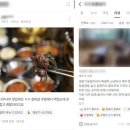 [속보] 가짜 후기 포털 노출 순위 조작…19억원 챙긴 일당 등 24명 검거 이미지