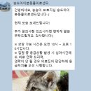송도 아이본 동물의료센터 이미지
