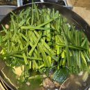 버섯마당 이미지