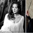 할리우드펫 이미지