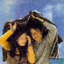 술렁술렁 이미지