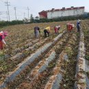 해연농장 이미지