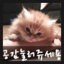 고기장터정육점 이미지