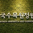 A+ 이미지